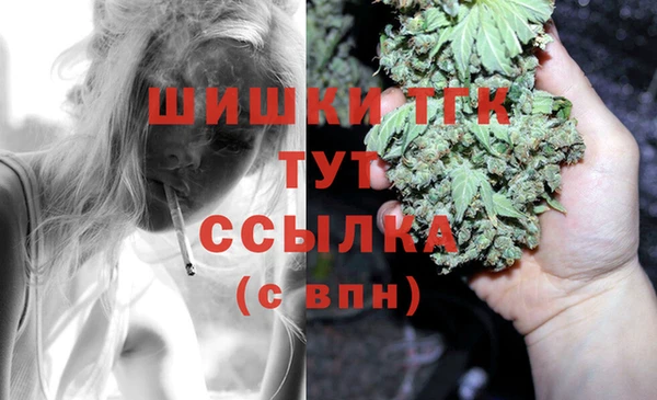 МДПВ Богданович