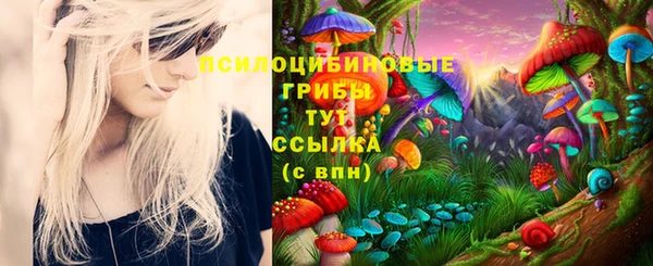 героин Белокуриха