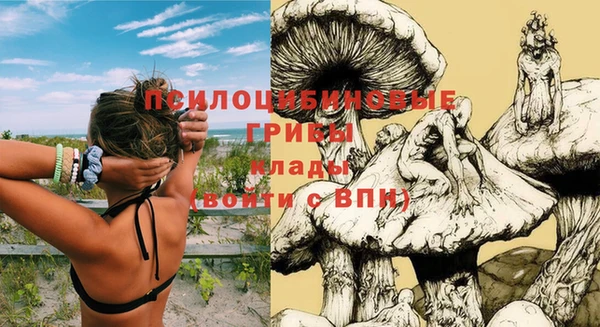 МДПВ Богданович