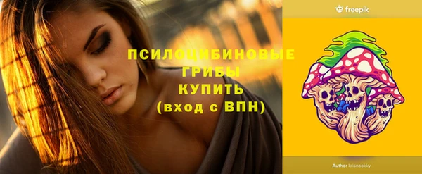 МДПВ Богданович
